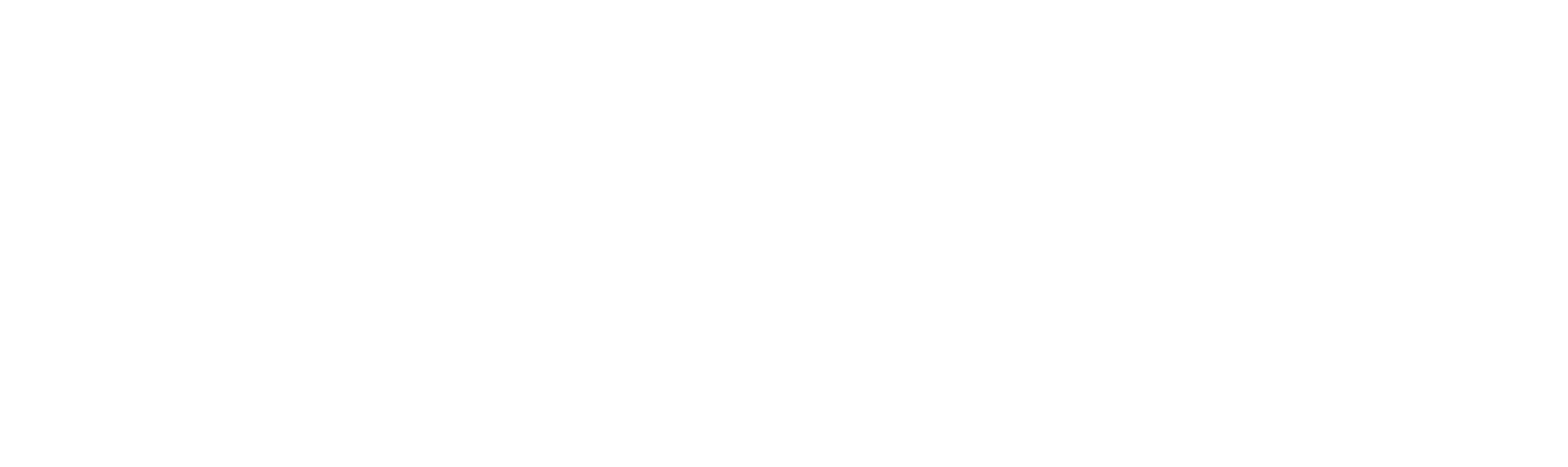 LT_logo_white